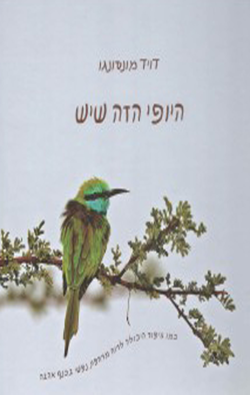 היופי הזה שיש