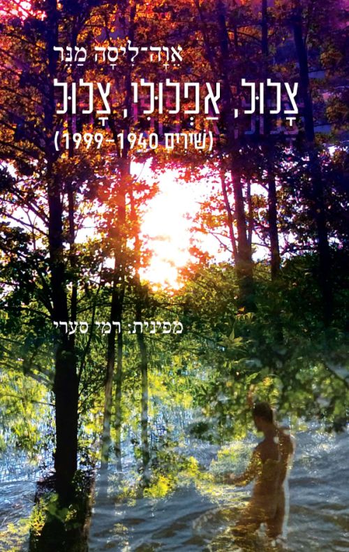 צלול, אפלולי, צלול