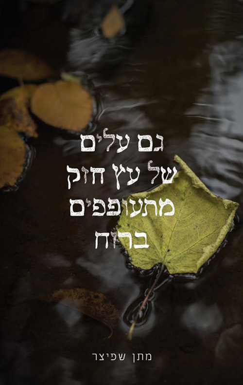 גם עלים של עץ חזק מתעופפים ברוח