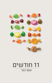11 חודשים