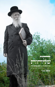 חיי שליחות