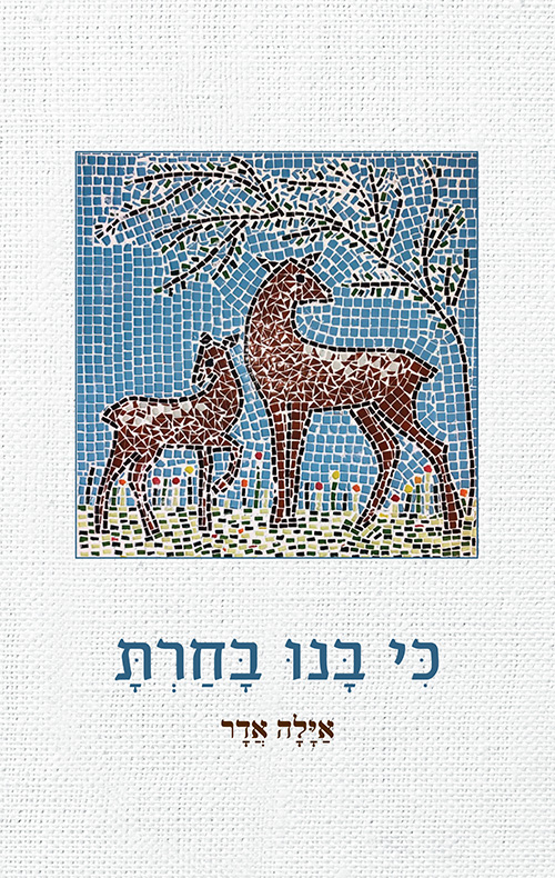 כי בנו בחרת