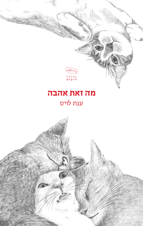 מה זאת אהבה