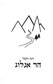 הר אנלוג