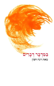 במדבר דברים