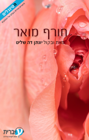 חורף מואר