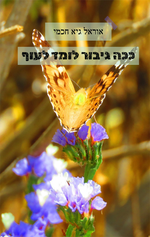 ככה גיבור לומד לעוף