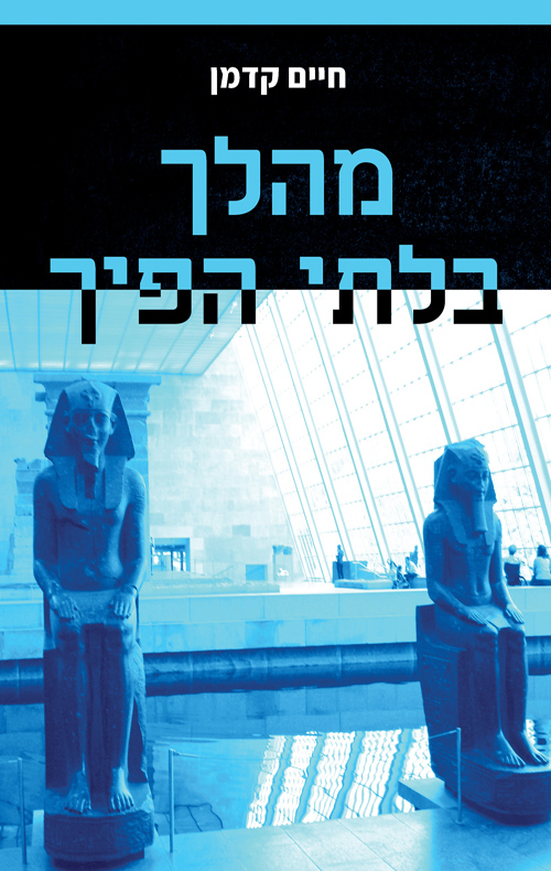 מהלך בלתי הפיך