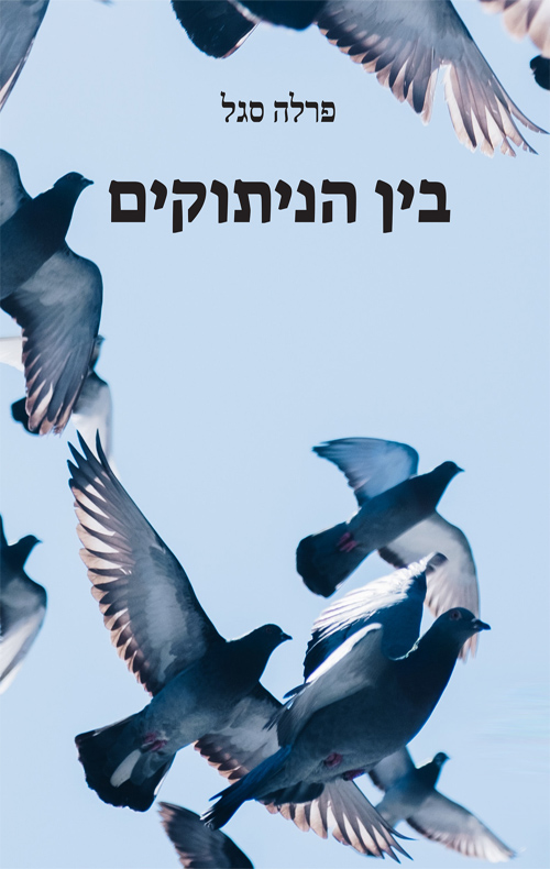 בין הניתוקים