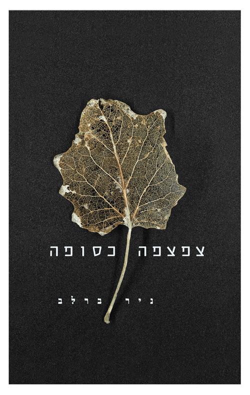 צפצפה כסופה