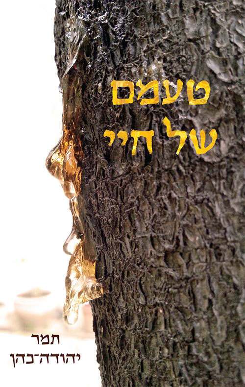 טעמם של חיי