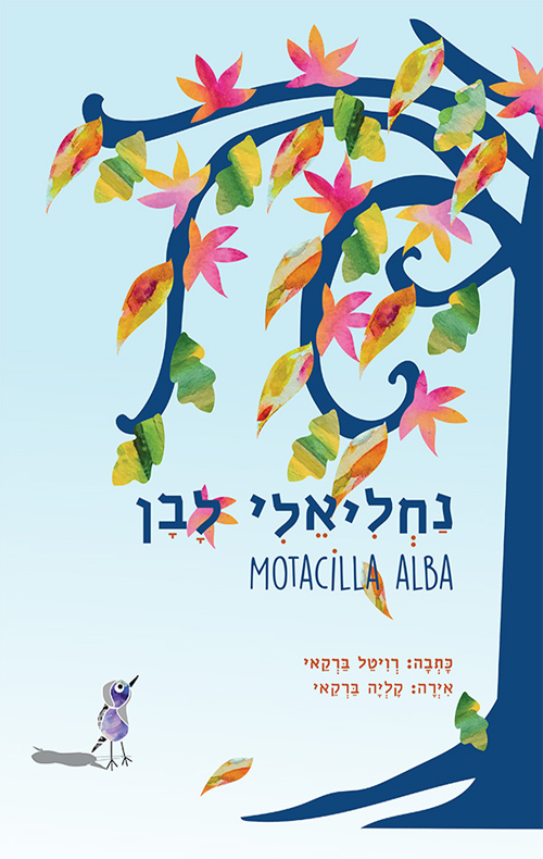 נחליאלי לבן