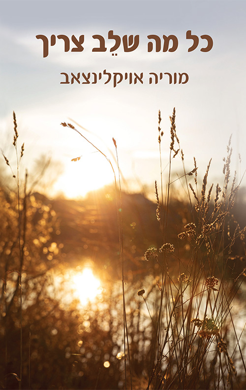 כל מה שלב צריך