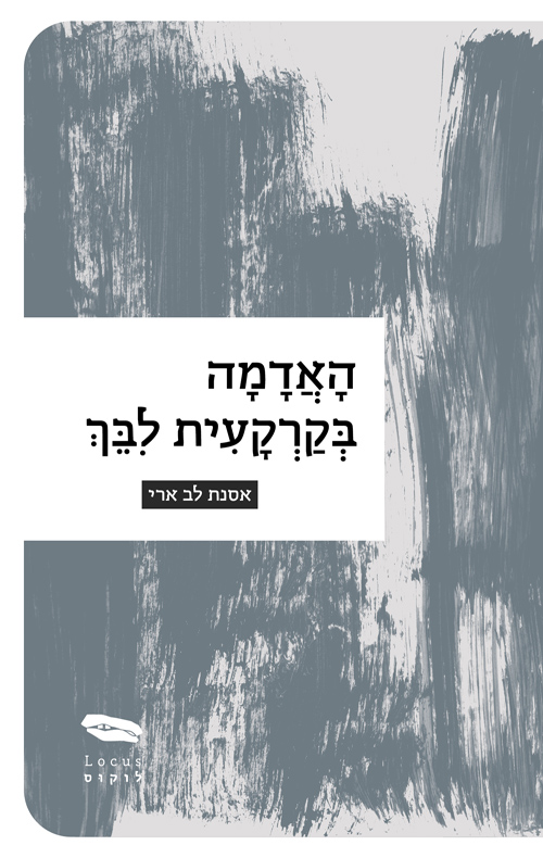 האדמה בקרקעית לבך