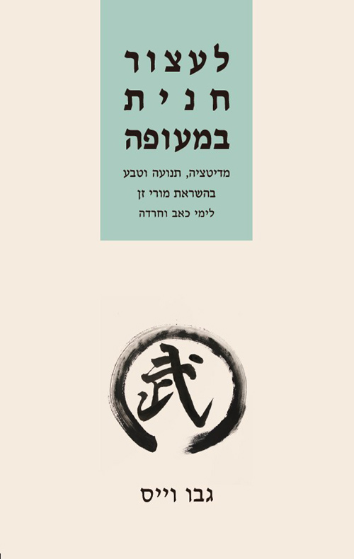 לעצור חנית במעופה