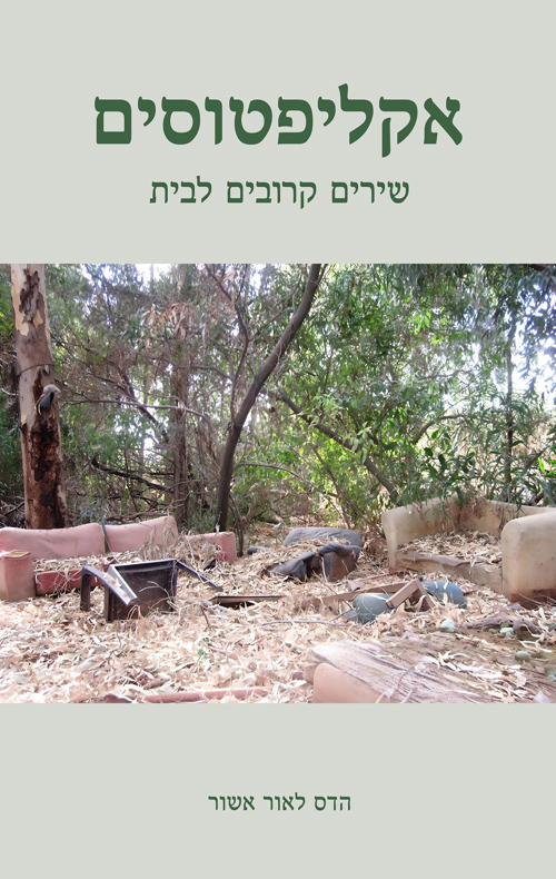 אקליפטוסים – שירים קרובים לבית