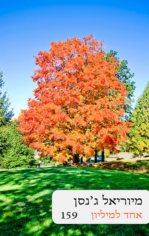 אחד למיליון