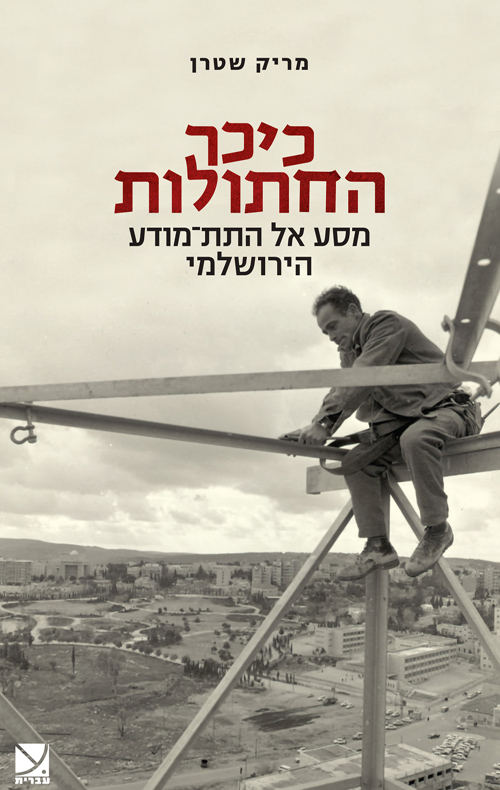 כיכר החתולות