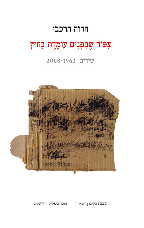 ציפור שבפנים עומדת בחוץ