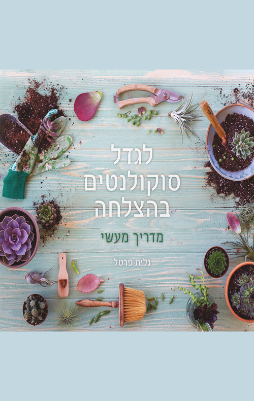 לגדל סוקולונטים בהצלחה - מדריך מעשי