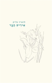איריס הבר