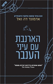 הארנבת עם עיני הענבר
