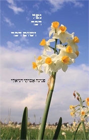 נפל דבר ושום דבר