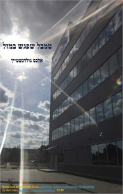 טמבל שפגש במזל
